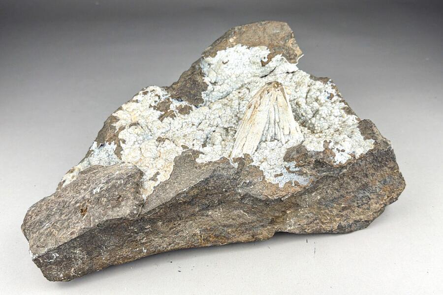 Großer blauer Chalcedon/Stangen Aragonit Weitendorf
